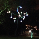 Dangling Lights at the Winter Festival of Lights