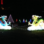 Double Dragon Animated Display at the Winter Festival of Lights