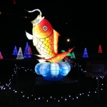 Gold Fish Korean Folk at the Winter Festival of Lights