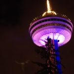 Night Shot at Skylon Tower