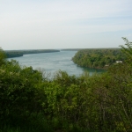 Nature in Niagara Falls