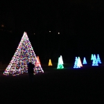 Tree Lights at the Winter Festival of Lights