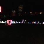 Tree Lights at the Winter Festival of Lights