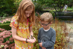 Niagara Parks Butterfly Conservatory