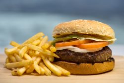 Skylon Tower Children's Hamburger