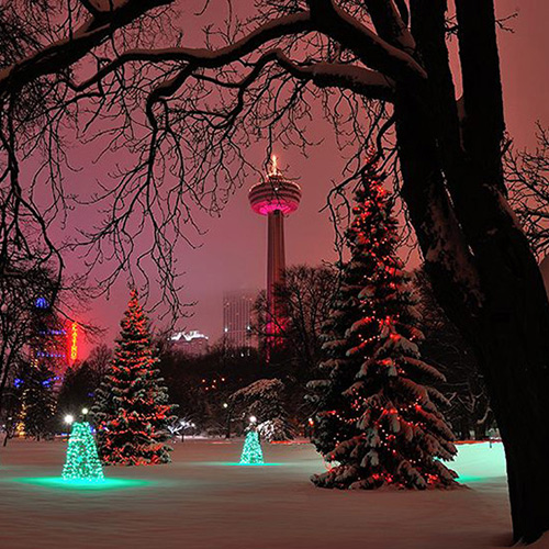 Valentine's Day Skylon Tower