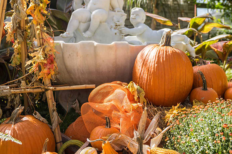 Floral Showhouse fall display