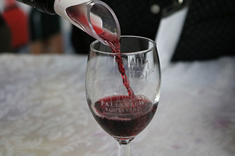 Niagara Falls Icewine Festival