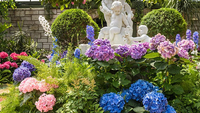 https://www.niagaraparks.com/events/event/annual-hydrangea-display/
