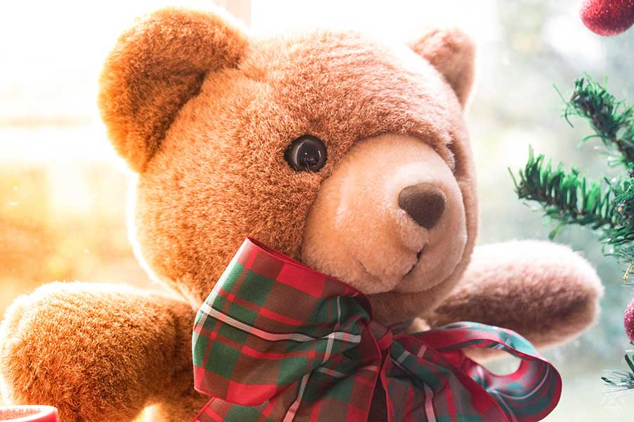Teddy Bear