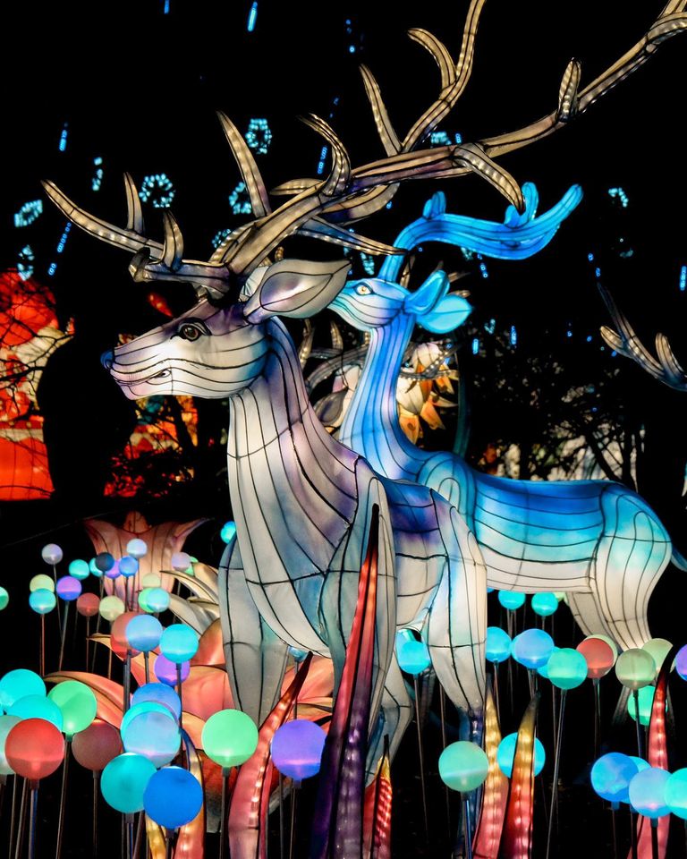 Reindeer displays SeaSky