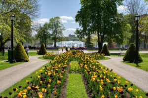 American Falls in May